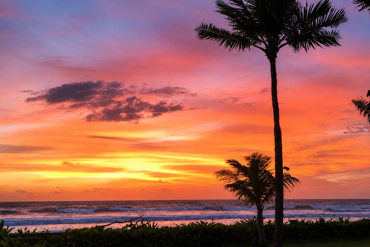 Beachfront Resort